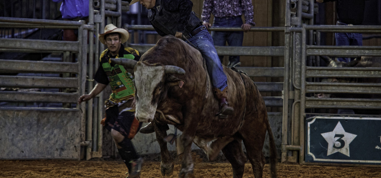 Saturday Night Rodeo Westgate River Ranch Resort & Rodeo in River