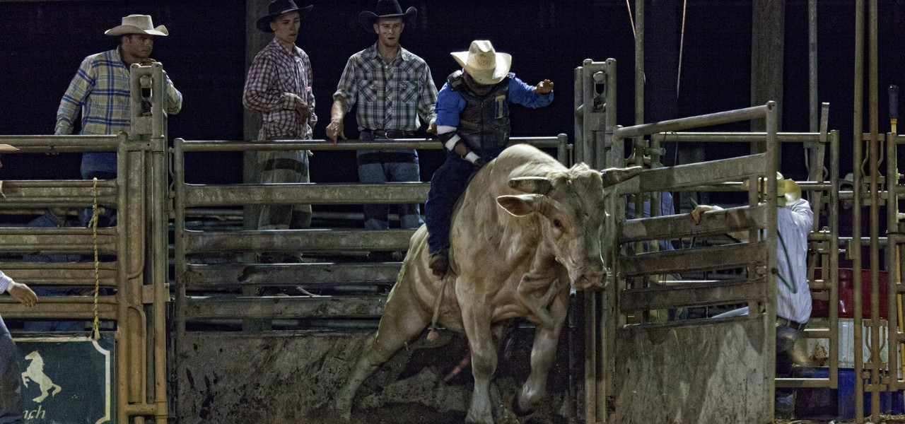 Saturday Night Rodeo Westgate River Ranch Resort & Rodeo in River