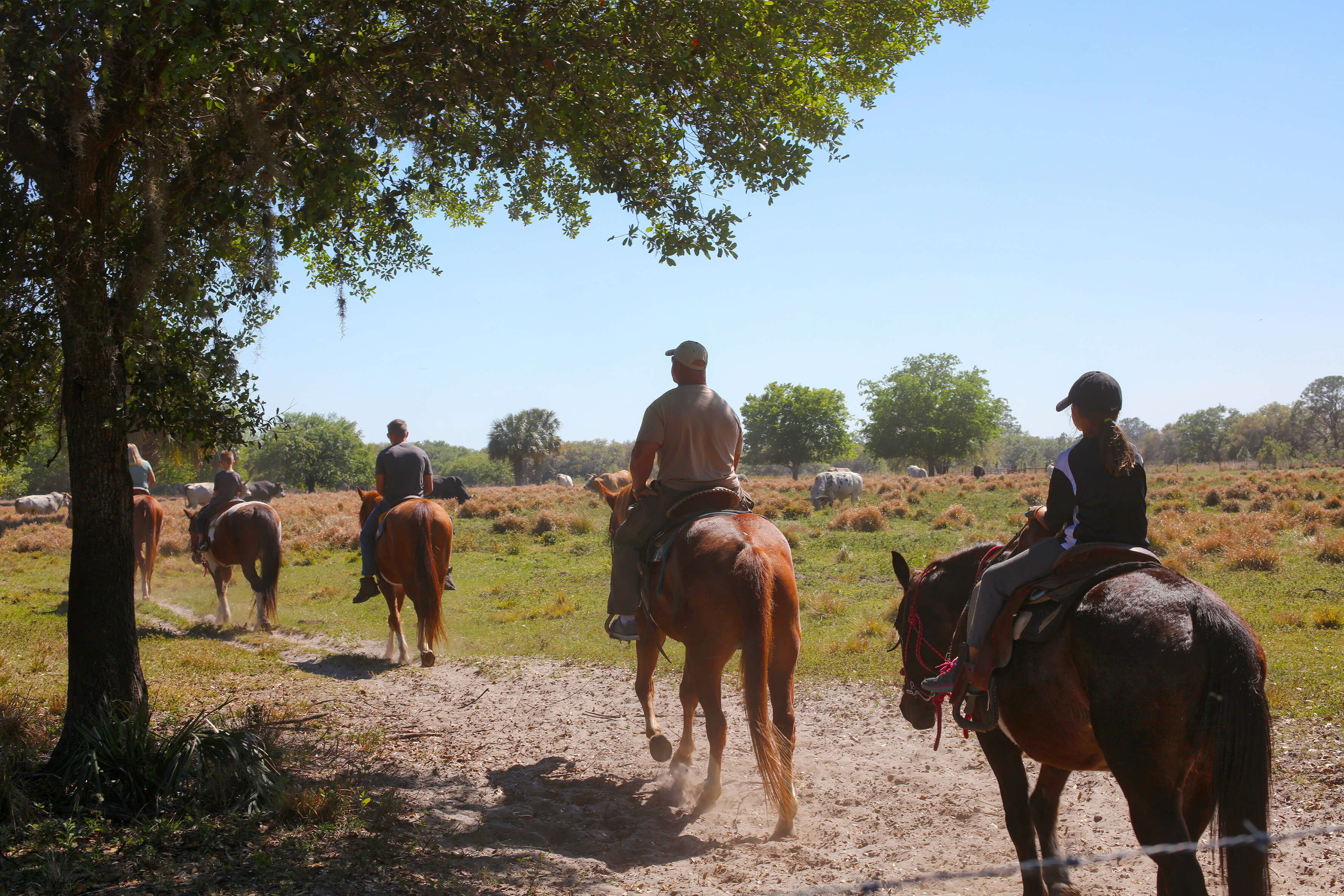 Horseback Riding Westgate River Ranch Resort & Rodeo in River Ranch