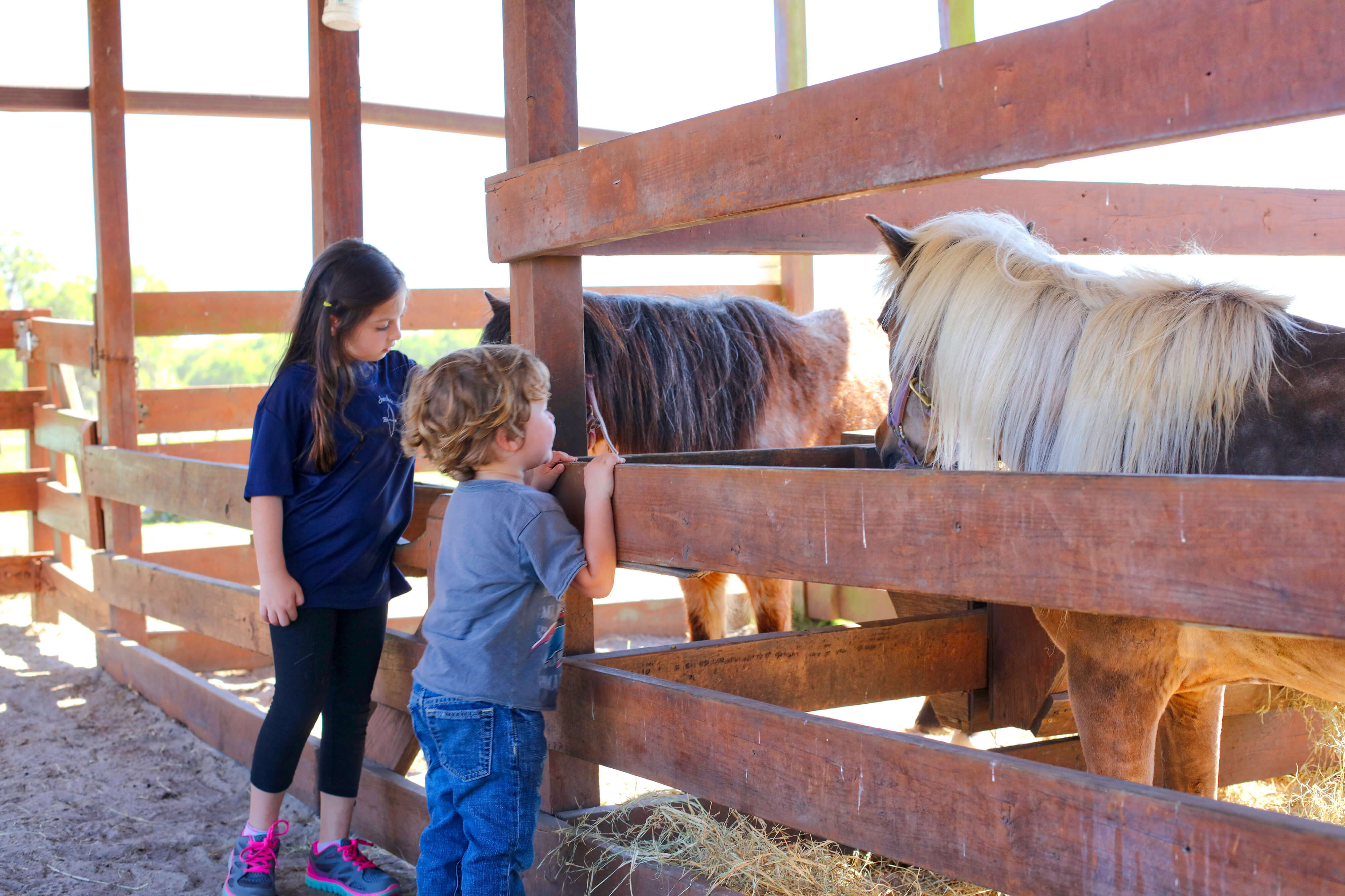 Petting Farm | Westgate River Ranch Resort & Rodeo in ...