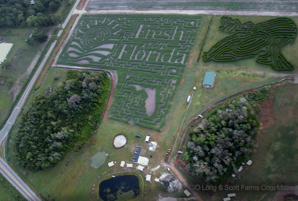 The 6 Scariest Florida Corn Mazes To Get Lost In This Halloween Westgate Resorts 