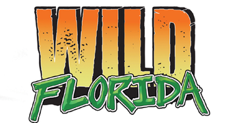 Wild Florida.