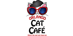 Orlando Cat Café