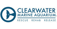 Clearwater Marine Aquarium.