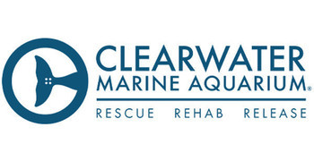 Clearwater Marine Aquarium.