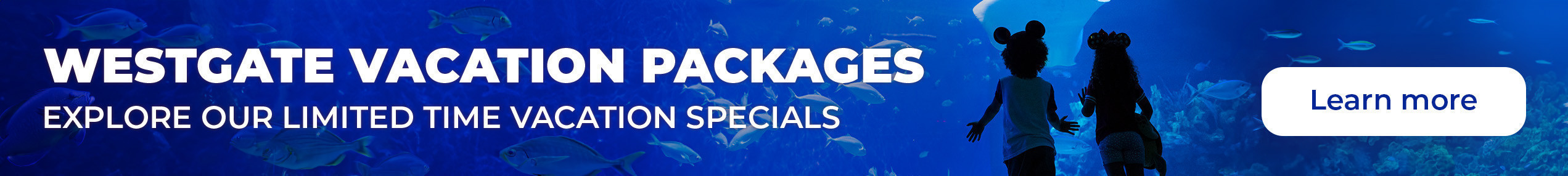 Vacation Packages